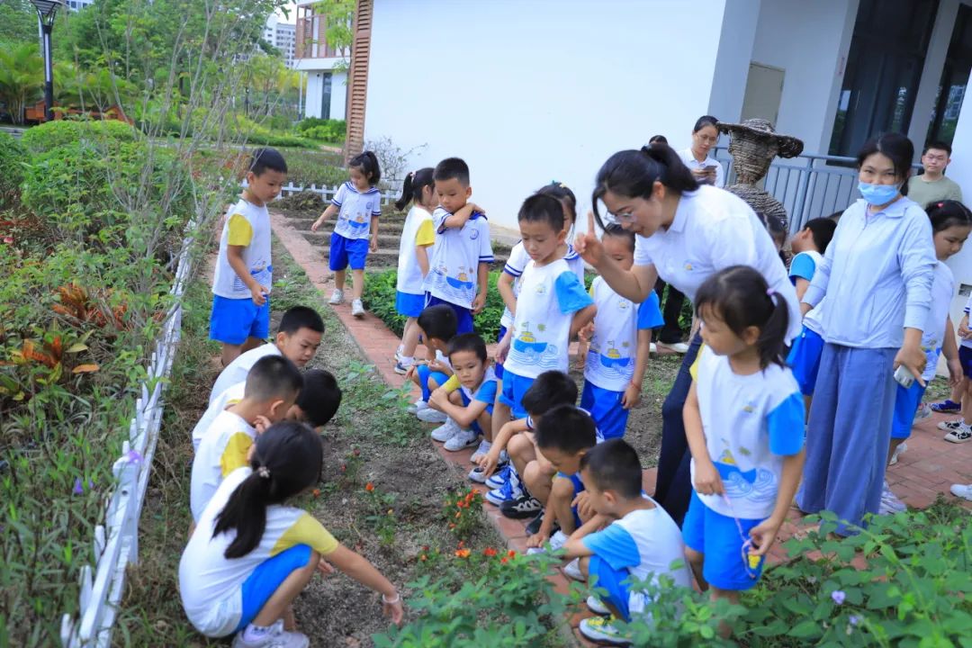 【学前教育宣传月】探小学之趣 赴成长之约——三亚市第一幼儿园走进小学活动 第68张