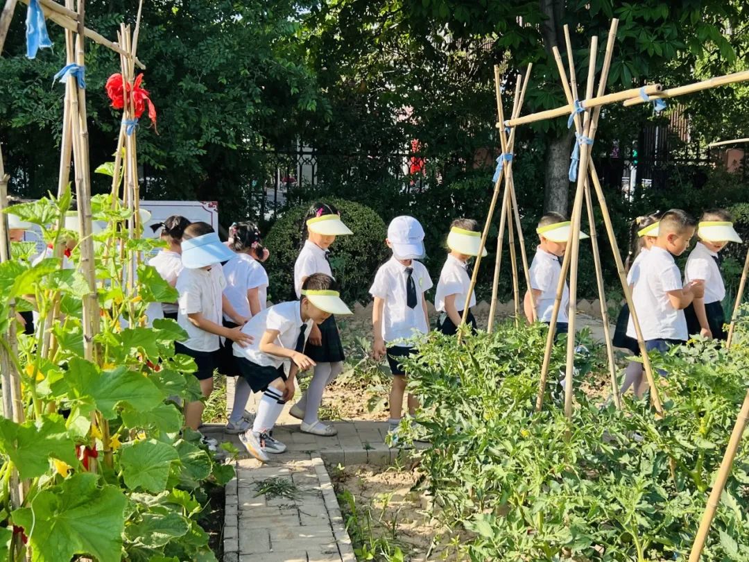 探秘小学  科学衔接——邰城幼儿园幼小衔接系列活动四 第39张