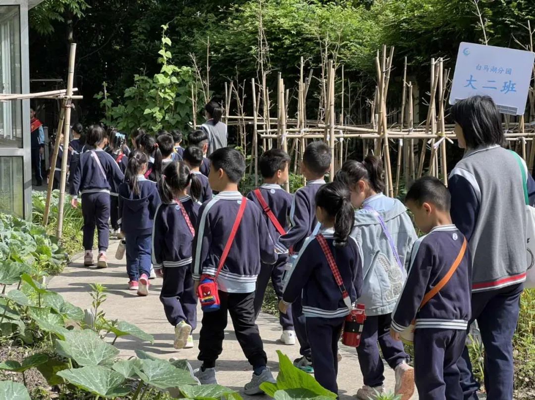 【“来塞”资讯】趣见小学,“幼”见美好 第35张