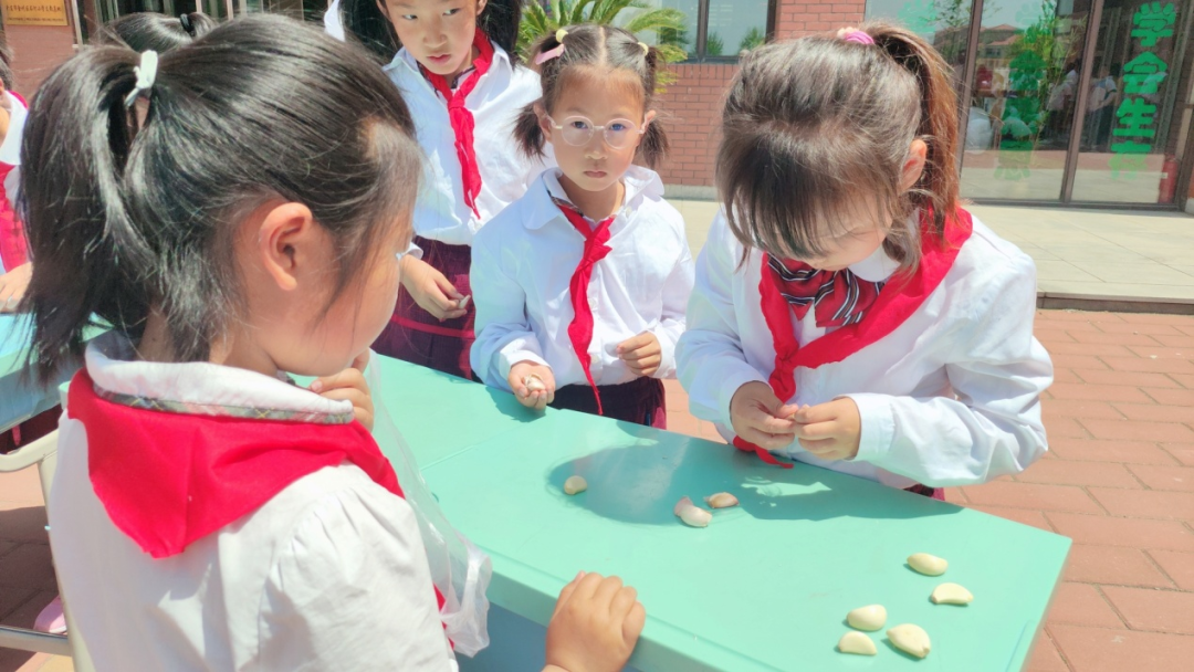 巧手抚锦衣  剥蒜砺心志---石河小学第五届劳动技能大赛二年级分会场 第25张