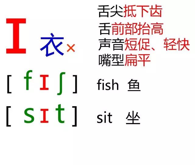 最全整理:小学必考英语音标,共48张,让孩子背熟!(可打印) 第3张