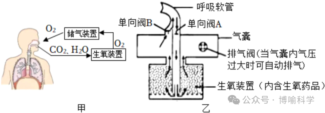 精选近20年杭州科学中考实验题(考点透视+满分技巧)助你精准备考! 第31张