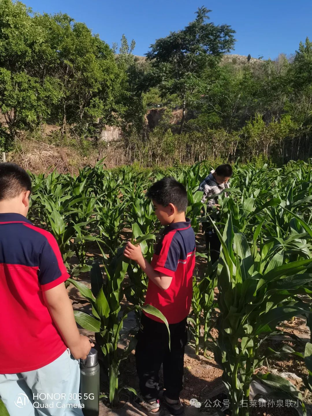 悦动五节 乐享成长丨石莱镇孙泉联办小学“五色”德育活动 第3张