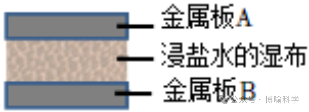 精选近20年杭州科学中考实验题(考点透视+满分技巧)助你精准备考! 第27张