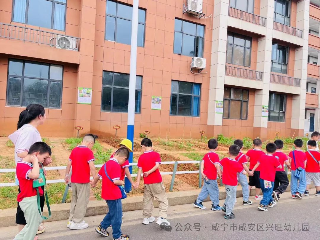 “嗨!小学,我们来啦”——幼小衔接系列之参观小学 第42张