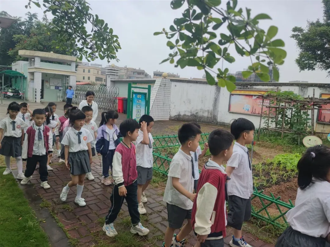 【幼小衔接】我与小学零距离——走进登塘小学 第13张