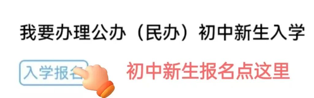 2024年宁乡市城区(园区)小学、初中新生网上报名操作指南 第5张