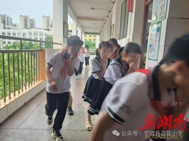 宁远县莲花小学校园工作简报(5.13-5.19) 第23张