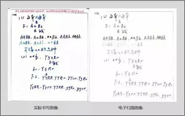 中考试卷扫描后啥样?评卷误差咋回事?注意这些多得20分!(转给学生) 第3张