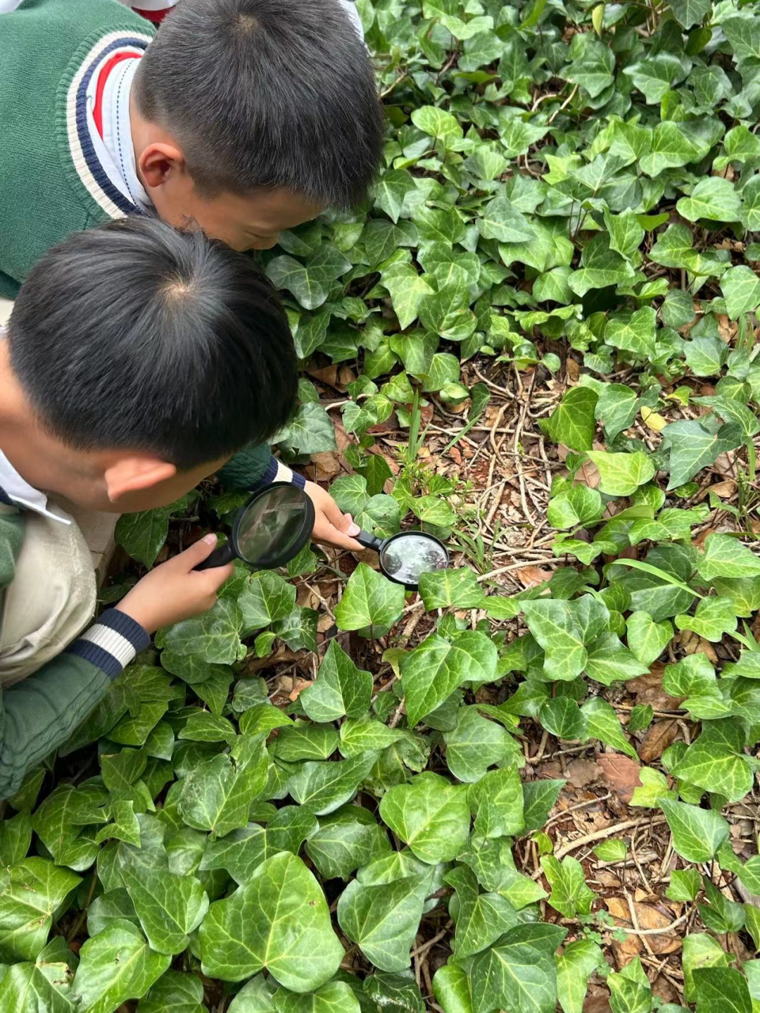 曙光小学珥季路校区举办“小满·神秘之旅”活动 第5张