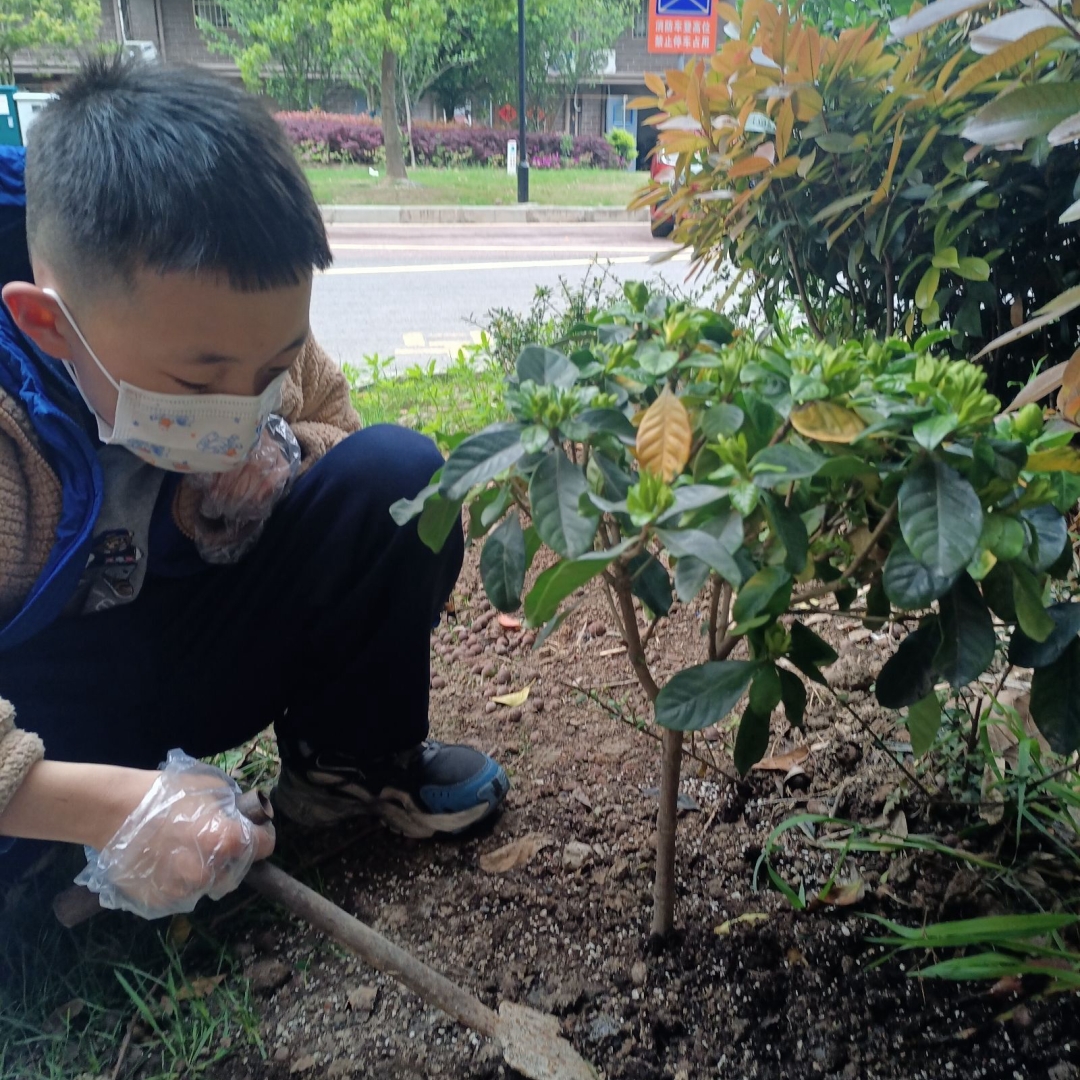 【实小教育集团·十里坊小学】“趣”当劳动者,“育”见劳动美 ——四年级劳动主题系列活动 第17张