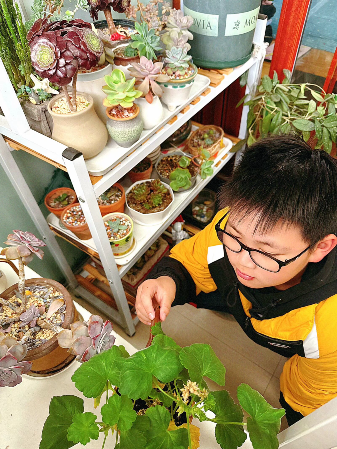 【实小教育集团·十里坊小学】“趣”当劳动者,“育”见劳动美 ——四年级劳动主题系列活动 第18张