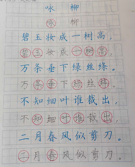 小学硬笔习字来稿选登(94) 第3张