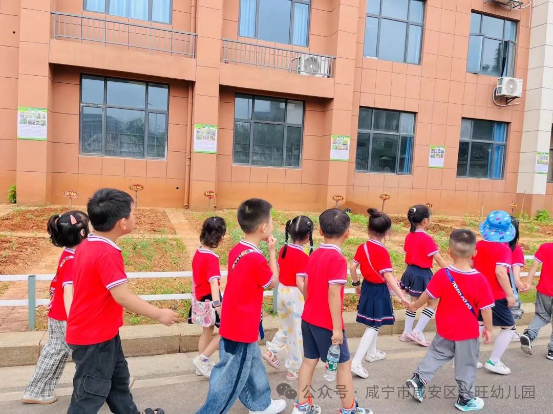 “嗨!小学,我们来啦”——幼小衔接系列之参观小学 第43张