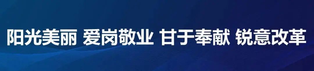 校园 | 嵩阳高中 告成镇中心小学 东华南店小学 大冶五小 卢店直属幼儿园 第2张