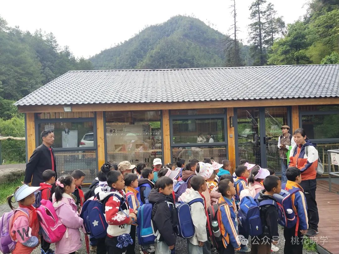 走进石头老君山  了解生物多样性——桃花小学开展一年级自然生态课堂活动 第2张