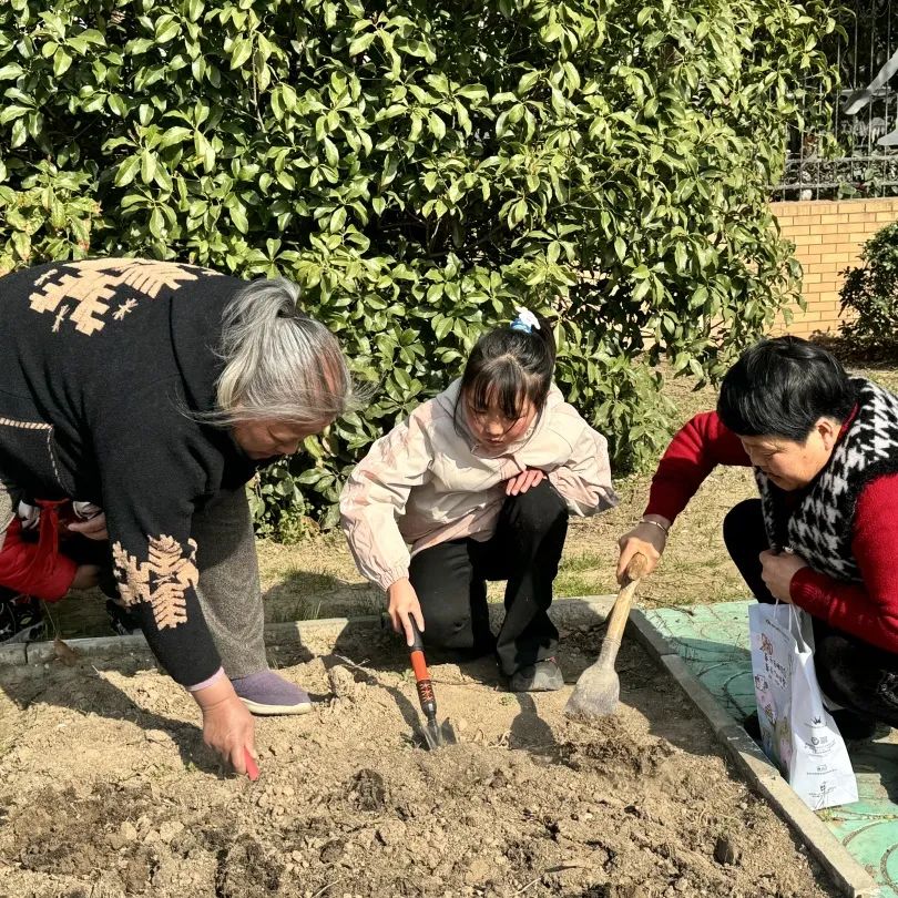 【实小教育集团·十里坊小学】“趣”当劳动者,“育”见劳动美 ——四年级劳动主题系列活动 第16张