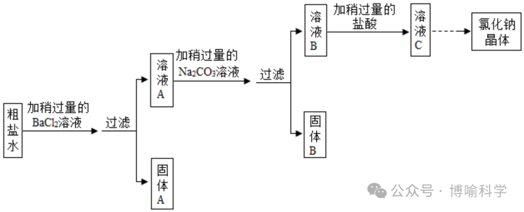 精选近20年杭州科学中考实验题(考点透视+满分技巧)助你精准备考! 第19张