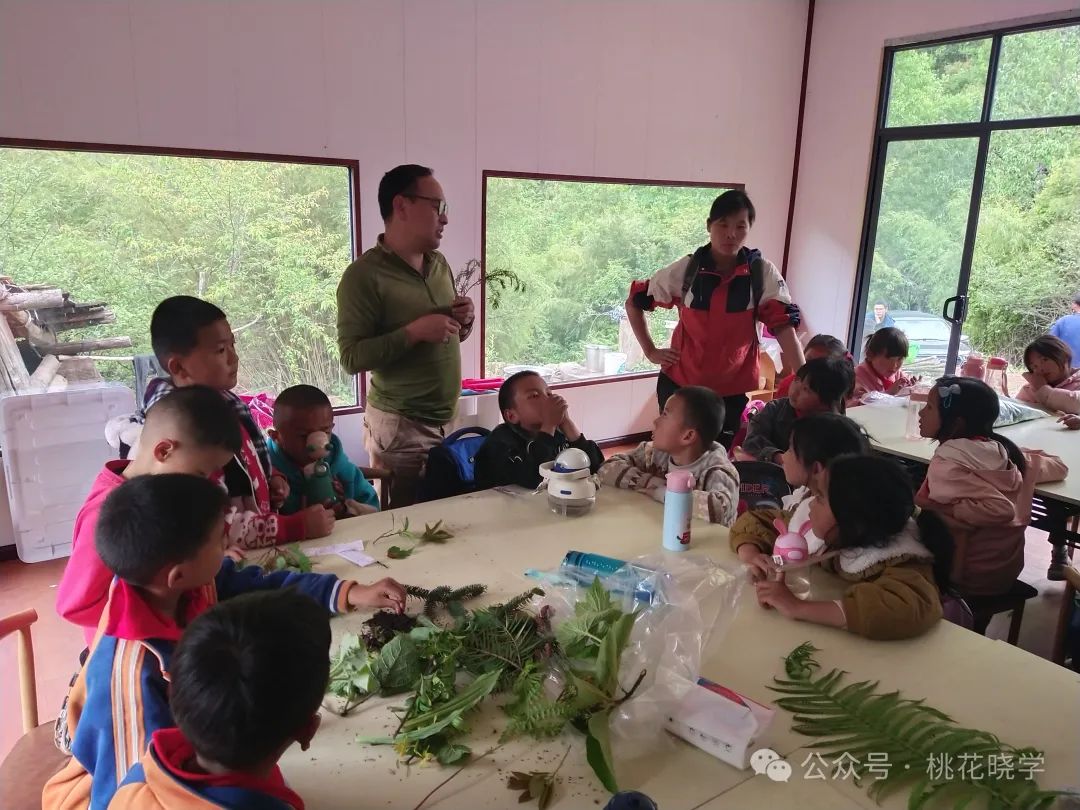 走进石头老君山  了解生物多样性——桃花小学开展一年级自然生态课堂活动 第17张