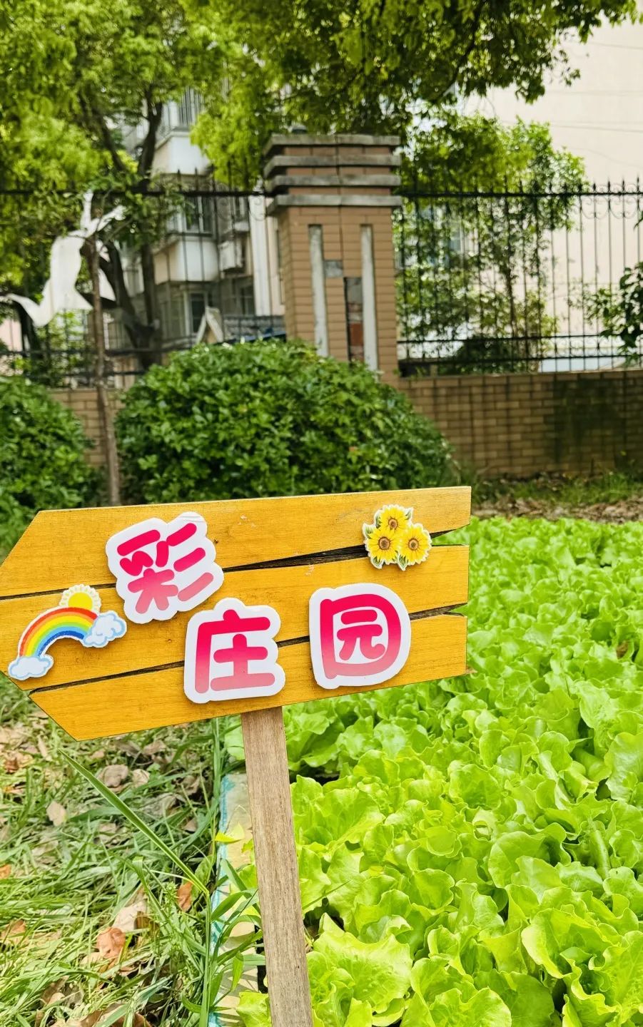 【实小教育集团·十里坊小学】“趣”当劳动者,“育”见劳动美 ——四年级劳动主题系列活动 第21张