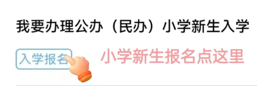 2024年宁乡市城区(园区)小学、初中新生网上报名操作指南 第4张