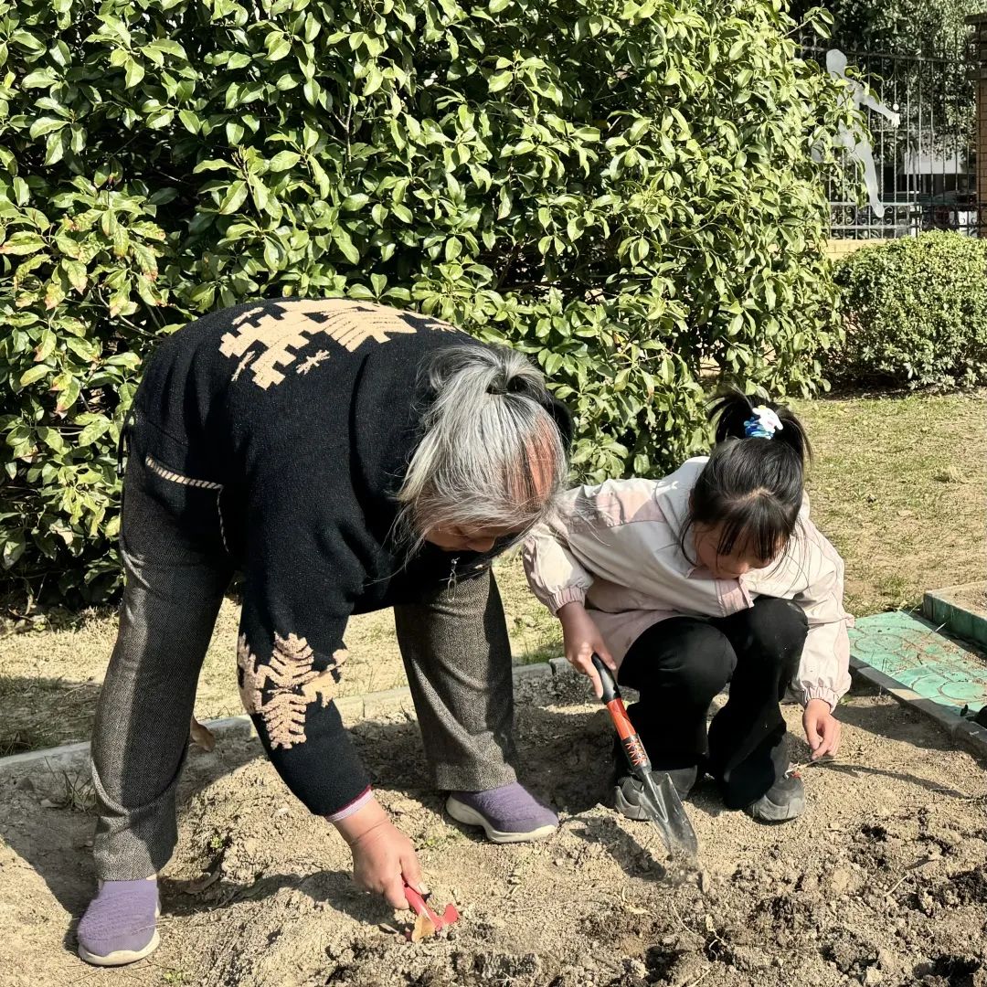 【实小教育集团·十里坊小学】“趣”当劳动者,“育”见劳动美 ——四年级劳动主题系列活动 第14张