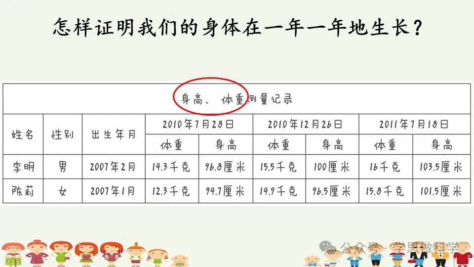 2.5发现生长(小学科学教科版二年级下册课件) 第6张