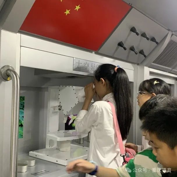 “遨游科技世界  点亮科学梦想”—澄溪小学2024春季研学旅行 第36张