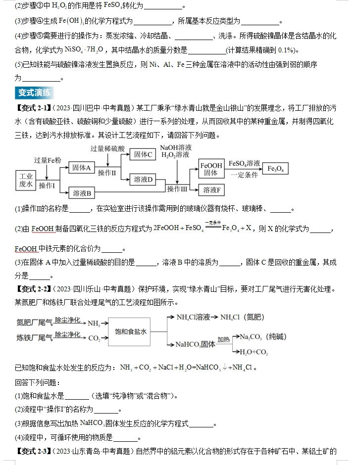 2024年中考化学:二轮热点题型归纳与变式演练,全是典型题型,高分突破必练!(全国通用) 第12张