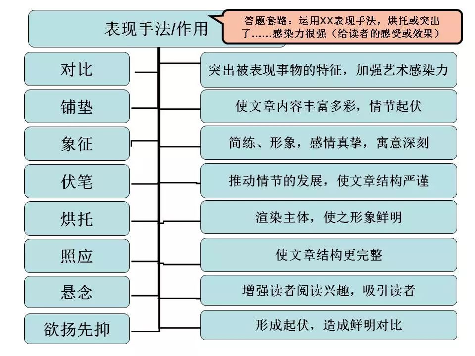 2024中考:初中语文《知识体系思维导图》 第10张