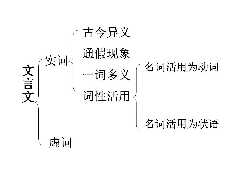 2024中考:初中语文《知识体系思维导图》 第20张