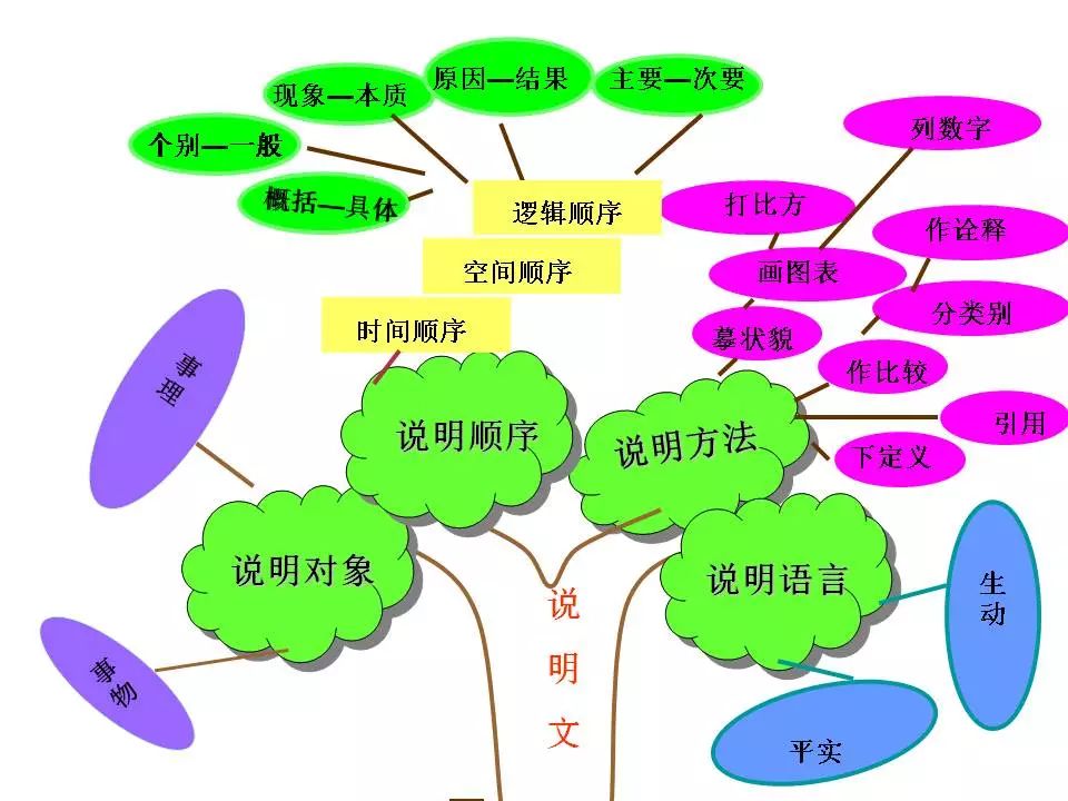 2024中考:初中语文《知识体系思维导图》 第17张