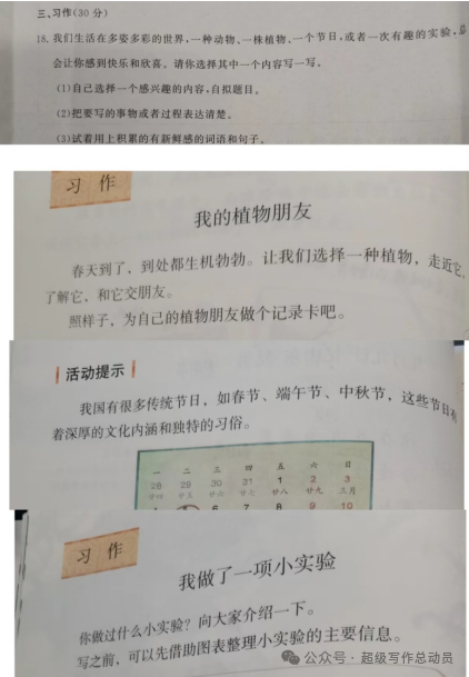 小学语文下册期中监测质量分析(三年级) 第13张