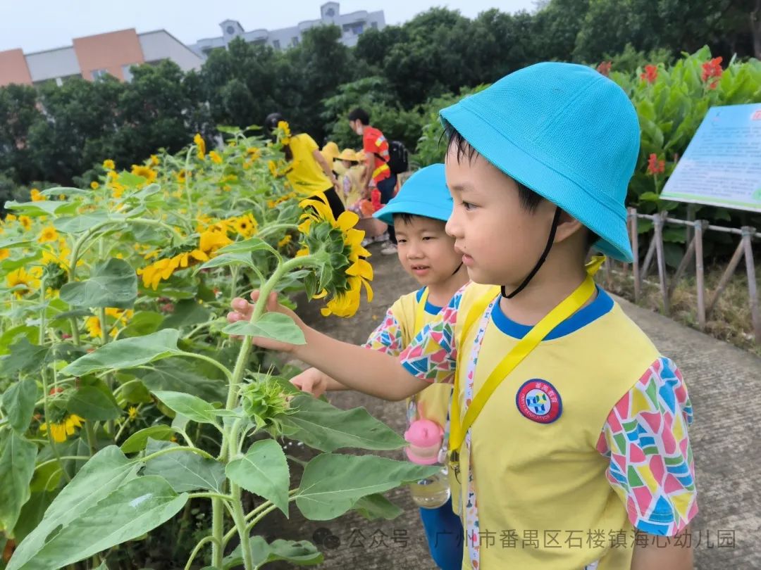 探秘小学,筑梦成长——石楼镇海心幼儿园幼小衔接参观海鸥学校活动 第60张