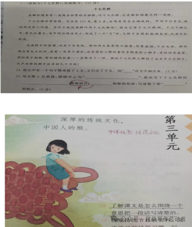 小学语文下册期中监测质量分析(三年级) 第11张