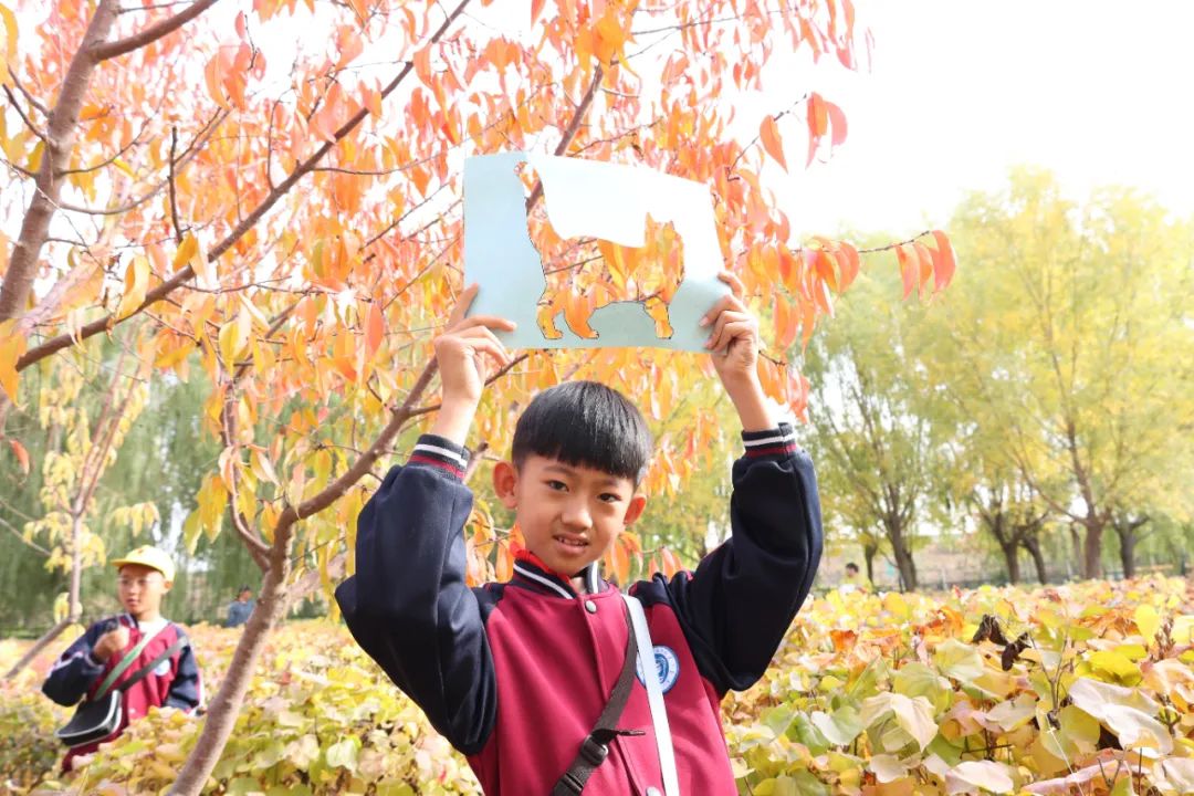 就读衡越小学,5月27日-6月7日校长专场咨询,一对一为您答疑 第12张