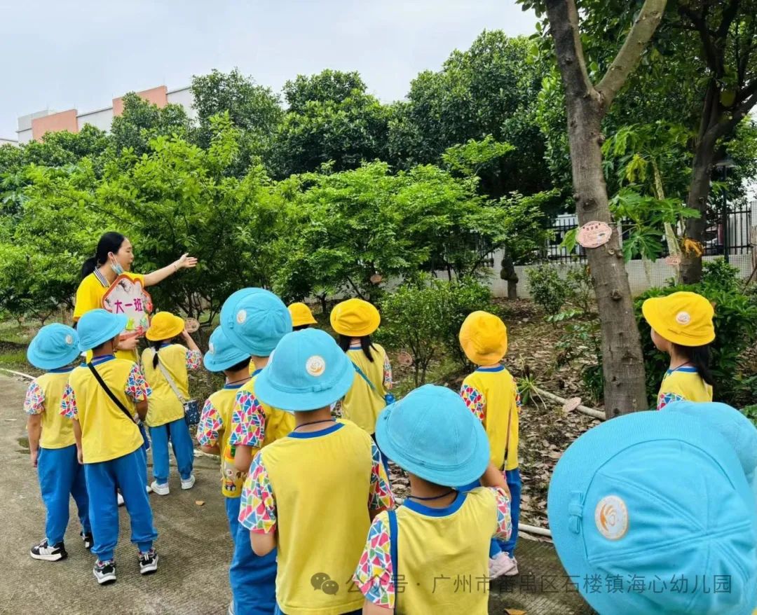 探秘小学,筑梦成长——石楼镇海心幼儿园幼小衔接参观海鸥学校活动 第61张