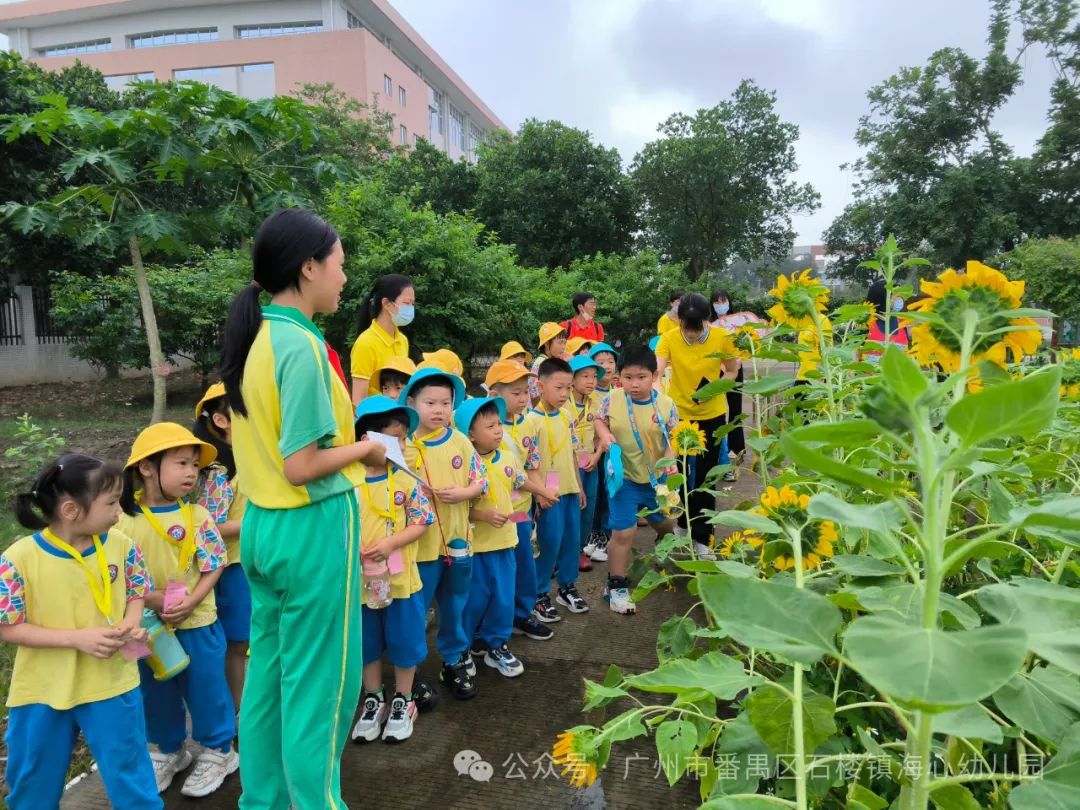 探秘小学,筑梦成长——石楼镇海心幼儿园幼小衔接参观海鸥学校活动 第54张