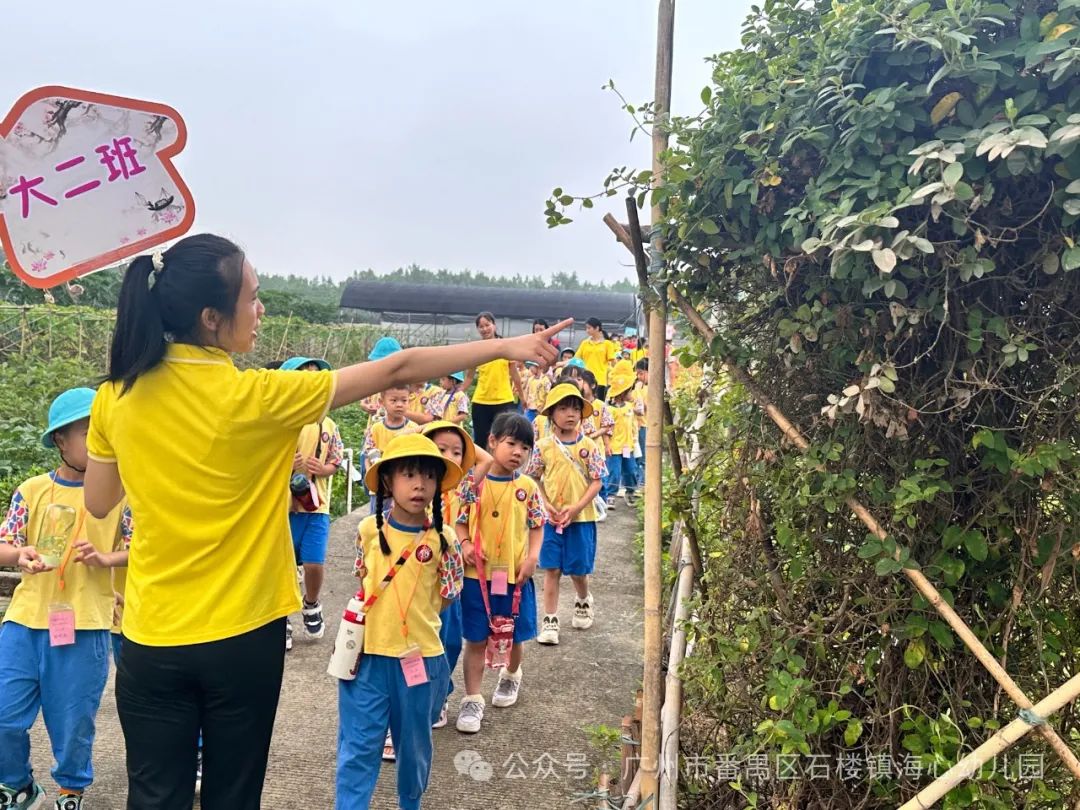 探秘小学,筑梦成长——石楼镇海心幼儿园幼小衔接参观海鸥学校活动 第59张