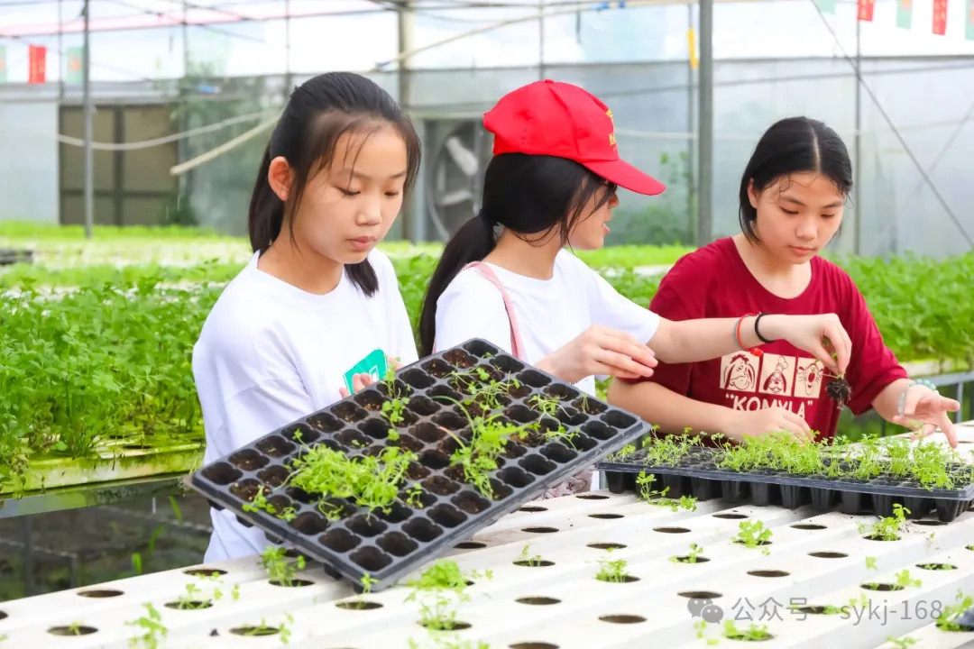 20240522D衡山县实验小学研学实践活动 第143张