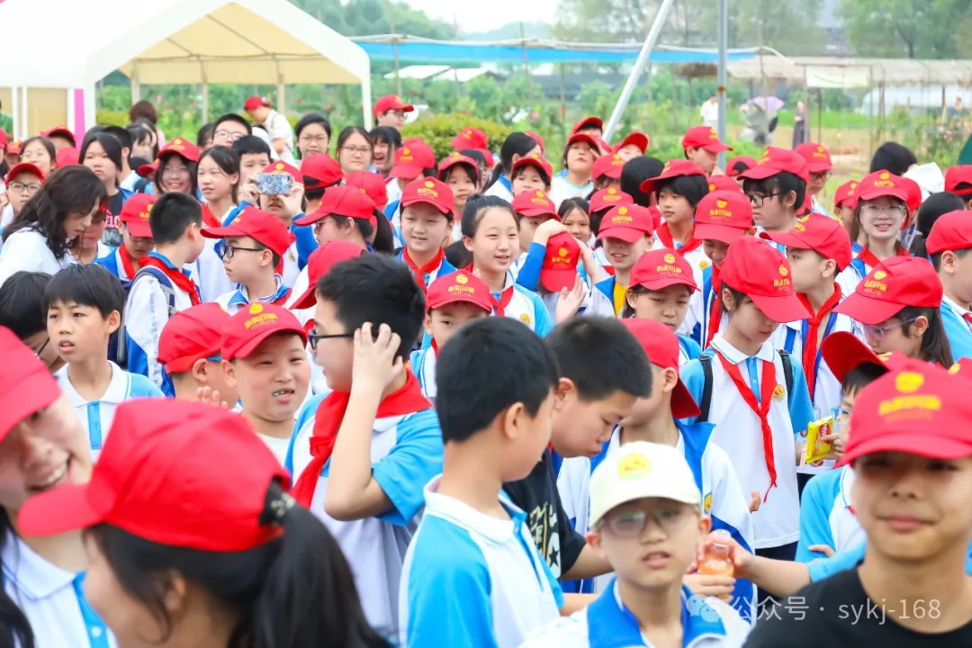 20240522D衡山县实验小学研学实践活动 第18张