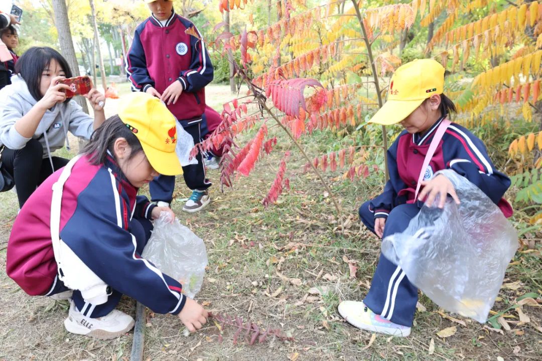 就读衡越小学,5月27日-6月7日校长专场咨询,一对一为您答疑 第55张