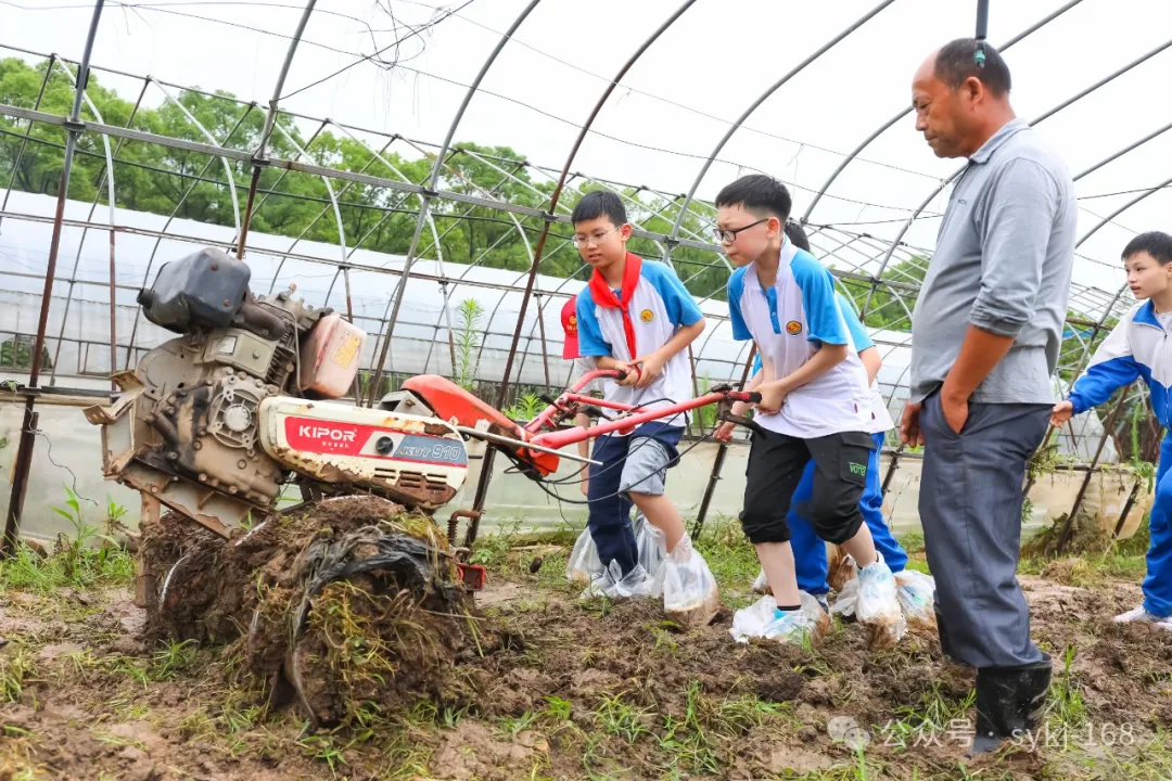 20240522D衡山县实验小学研学实践活动 第54张