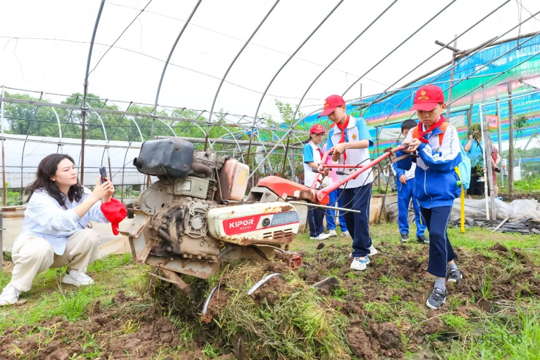 20240522D衡山县实验小学研学实践活动 第50张