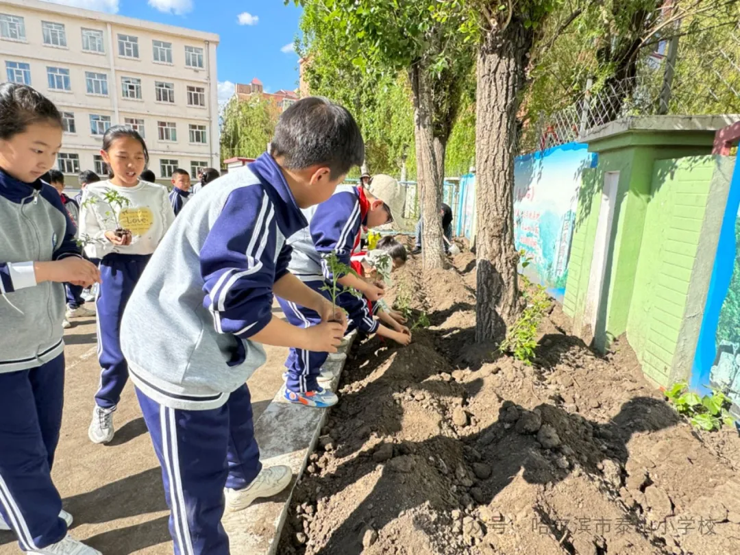 泰山小学远程种植活动侧记 第28张