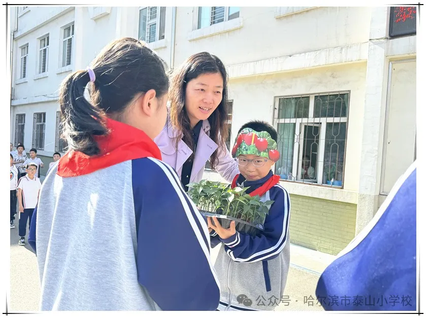 泰山小学远程种植活动侧记 第9张