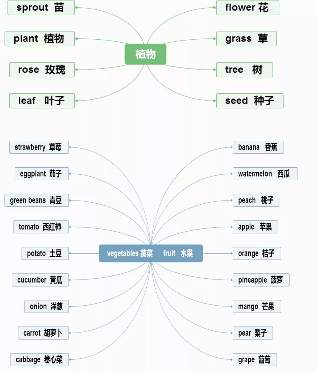 小学英语思维导图分类记单词,真的太方便了!(建议收藏) 第18张