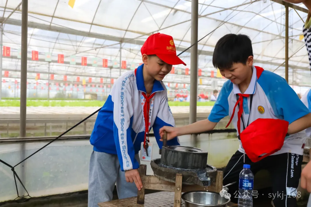 20240522D衡山县实验小学研学实践活动 第60张