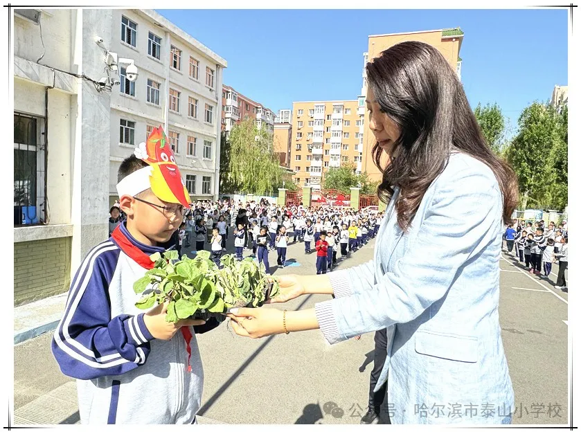 泰山小学远程种植活动侧记 第10张