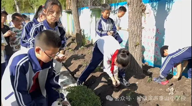 泰山小学远程种植活动侧记 第26张